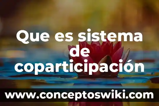 Qué es un sistema apalancamiento 7 Que es sistema de coparticipación