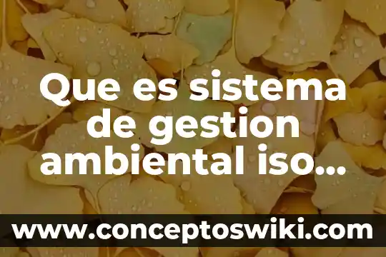 Qué es un sistema de codificación 4 Que es sistema de gestion ambiental iso 14000