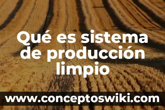 Qué es la producción animal en Venezuela 6 Qué es sistema de producción limpio