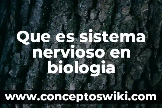 Que es la herencia suave o mezclada biologia 8 Que es sistema nervioso en biologia