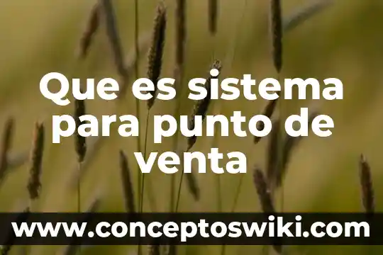 Que es un punto concavo 6 Que es sistema para punto de venta