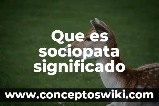 Que es la linea imaginaria de la tierra 4 Que es sociopata significado