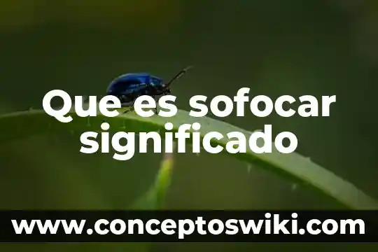 Que es el significado de el nombre de omar 8 Que es sofocar significado
