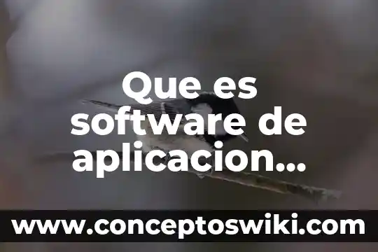Que es la aplicaci贸n de aranceles 3 Que es software de aplicacion ejecutivo