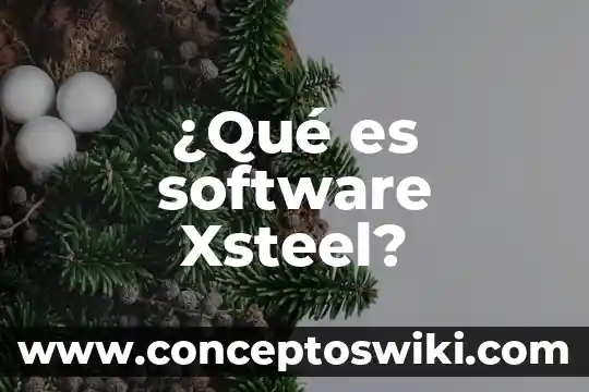 Software de mantenimiento que es 7 ¿Qué es software Xsteel?