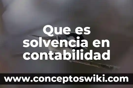 Que es inventarios perpetuos contabilidad 4 Que es solvencia en contabilidad