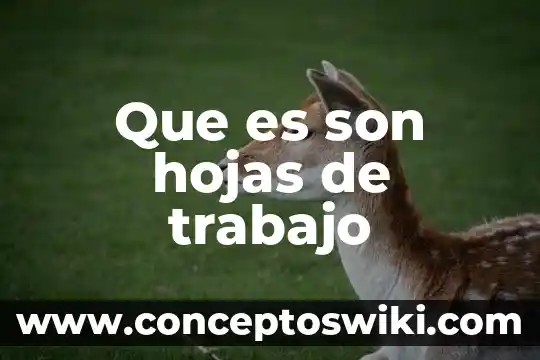 Qué es trabajo artículo 7 Que es son hojas de trabajo