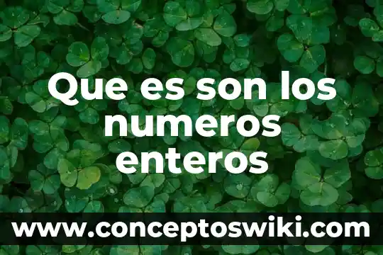 Qué es números enteros del mismo signo 5 Que es son los numeros enteros