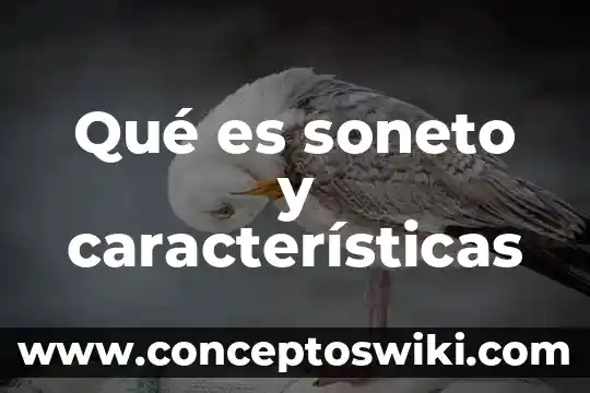 Que es motivacion e higiene características 5 Qué es soneto y características