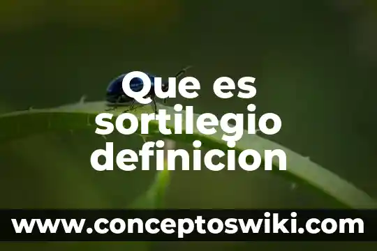 Que es un motorreductor definicion 3 Que es sortilegio definicion
