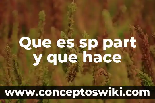 Ami se me hace que es floja 3 Que es sp part y que hace