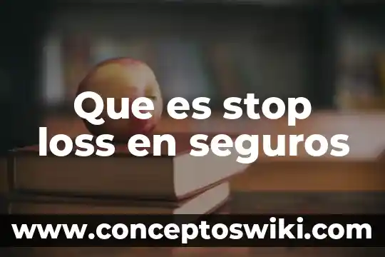 Que es un seguros de viaje internacional 5 Que es stop loss en seguros