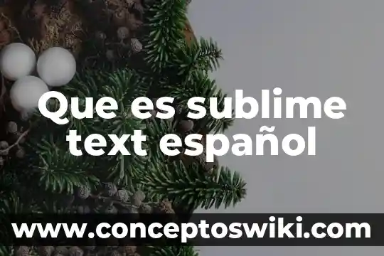Qué es el ponchado text 6 Que es sublime text español