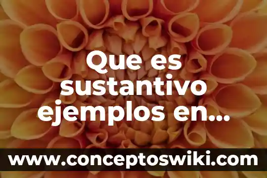 Qué es un sustantivo en un animal 6 Que es sustantivo ejemplos en oraciones