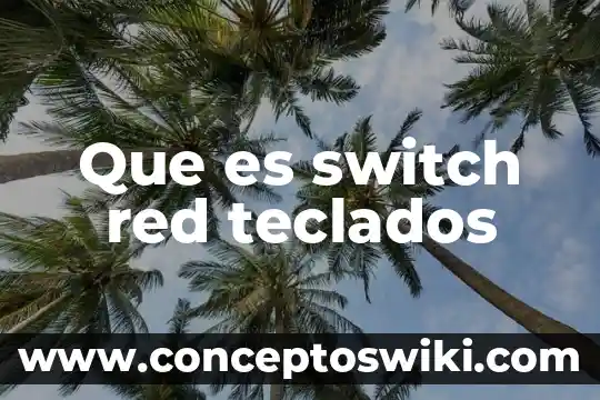 Qué es reset switch definición 4 Que es switch red teclados