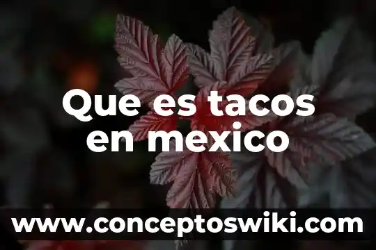 Qué es el marianismo colonial en México 8 Que es tacos en mexico