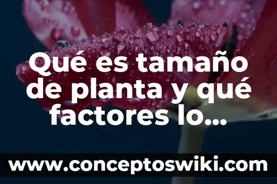Que es una empleada de planta 6 Qué es tamaño de planta y qué factores lo determinan