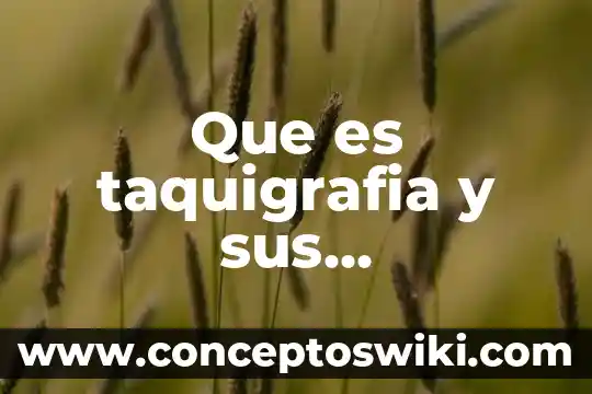 Que es android caracteristicas 7 Que es taquigrafia y sus caracteristicas
