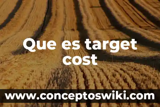 Que es sang cost 3 Que es target cost