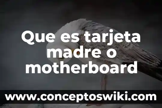 Tarjeta GSM que es? 6 Que es tarjeta madre o motherboard