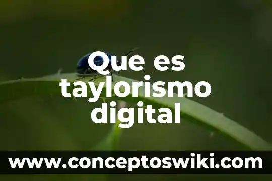 Que es un amuleto digital 6 Que es taylorismo digital