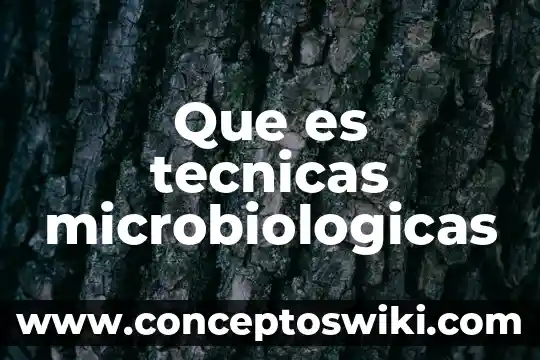 Qué es sita ejemplos de técnicas informáticas con sentido social 7 Que es tecnicas microbiologicas
