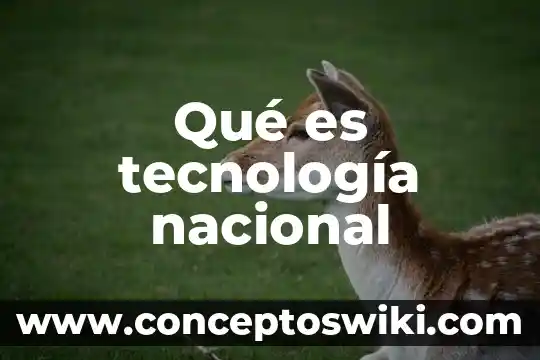 Qué es DIF en la tecnología 5 Qué es tecnología nacional