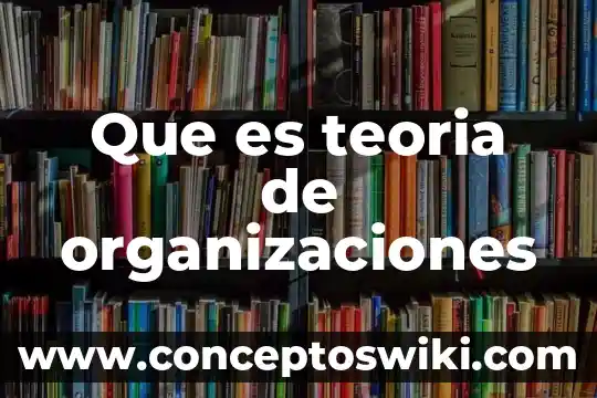 Que es organizaciones publicas de arte 3 Que es teoria de organizaciones