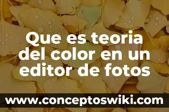 Que es un editor segun la ley 3 Que es teoria del color en un editor de fotos