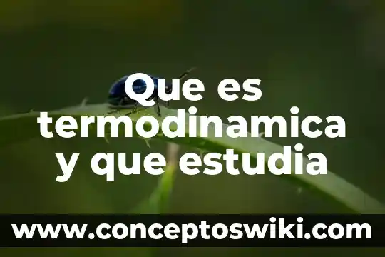 Que es estudia la macroeconomia 6 Que es termodinamica y que estudia