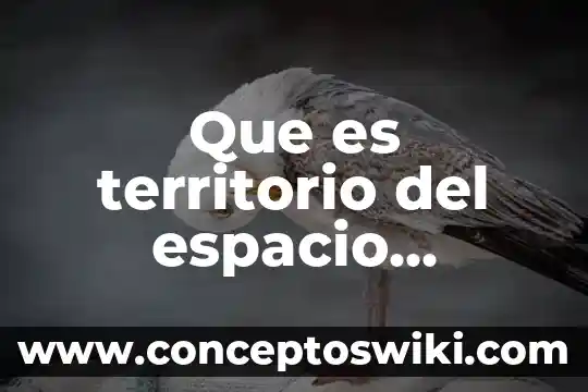 Que es el espacio pleural y que contiene 7 Que es territorio del espacio geografico