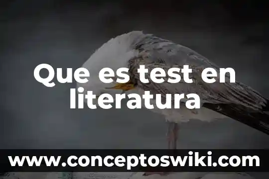 Que es el desarrollo en la literatura 3 Que es test en literatura