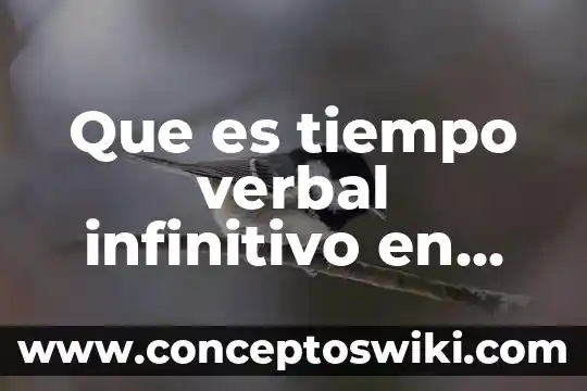 Que es la comunicacion verbal caracteristicas 3 Que es tiempo verbal infinitivo en una hoja de vida
