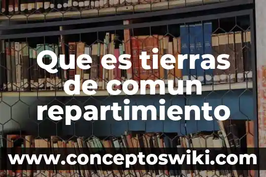 Que es el nombre comun de las mercancias 3 Que es tierras de comun repartimiento