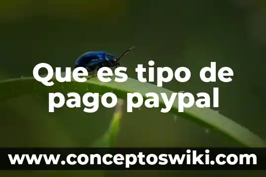 Que es paypal ejemplos 4 Que es tipo de pago paypal