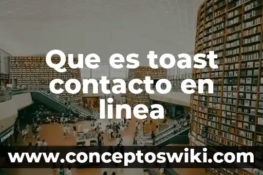 Que es informacion de contacto 4 Que es toast contacto en linea