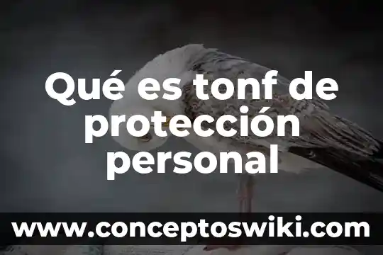 Qué es un ámbito de realización personal Yahoo 4 Qué es tonf de protección personal