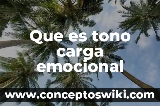 Que es un proceso en una empresa según autores 5 Que es tono carga emocional
