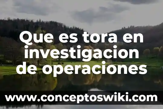 Registro de operaciones del periodo que es 3 Que es tora en investigacion de operaciones