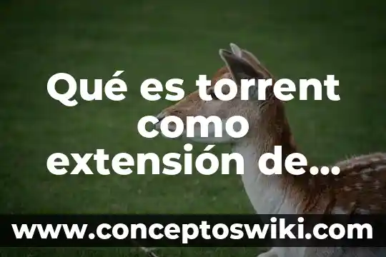 Qué es una extensión en base de datos 6 Qué es torrent como extensión de un archivo