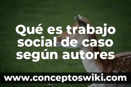 Que es iso 9000 segun autores 4 Qué es trabajo social de caso según autores