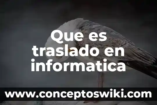 Bocinas que es significado informática 3 Que es traslado en informatica