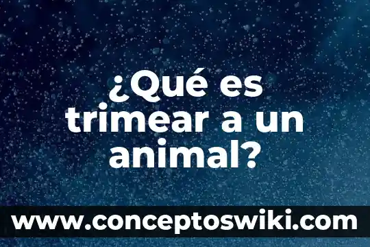 Qué es contagio en animal 4 ¿Qué es trimear a un animal?