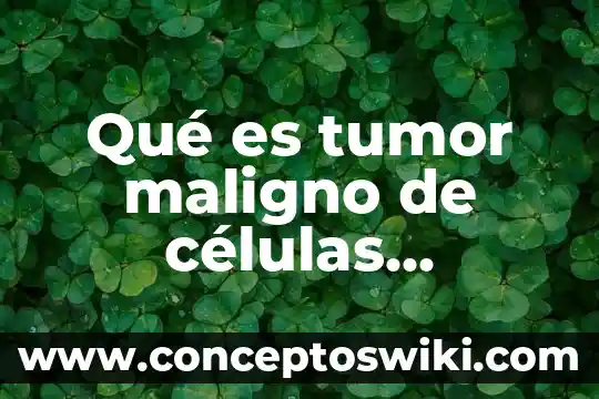 Que es tumor primario de mama? 4 Qué es tumor maligno de células redondas y azules