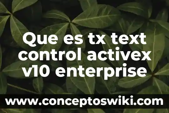 Qué es el ponchado text 3 Que es tx text control activex v10 enterprise
