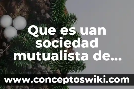 Que es localizable significado 7 Que es uan sociedad mutualista de seguros y fianzas