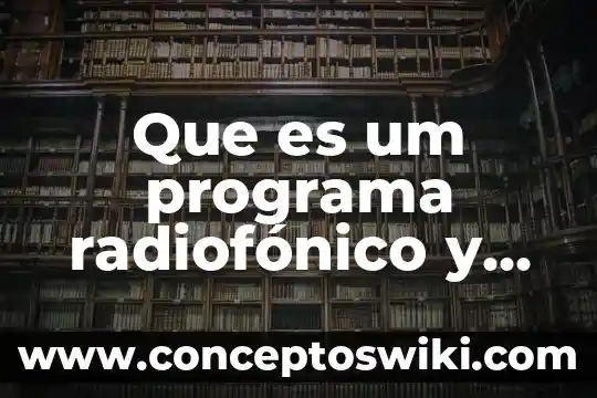 Que es programa dual 4 Que es um programa radiofónico y qu caracteristicas tiene