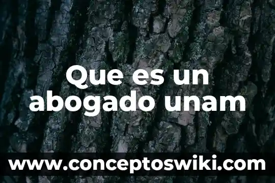 Que es el objetivo de un abogado de jurisdiccion 8 Que es un abogado unam