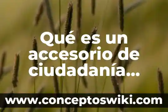 Paradigma digital que es 3 Qué es un accesorio de ciudadanía digital