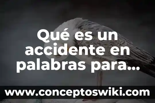 Que es educacion infantil tesis 5 Qué es un accidente en palabras para um mn